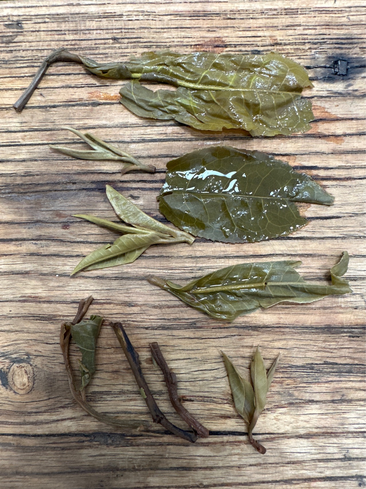 茶底信息图片2