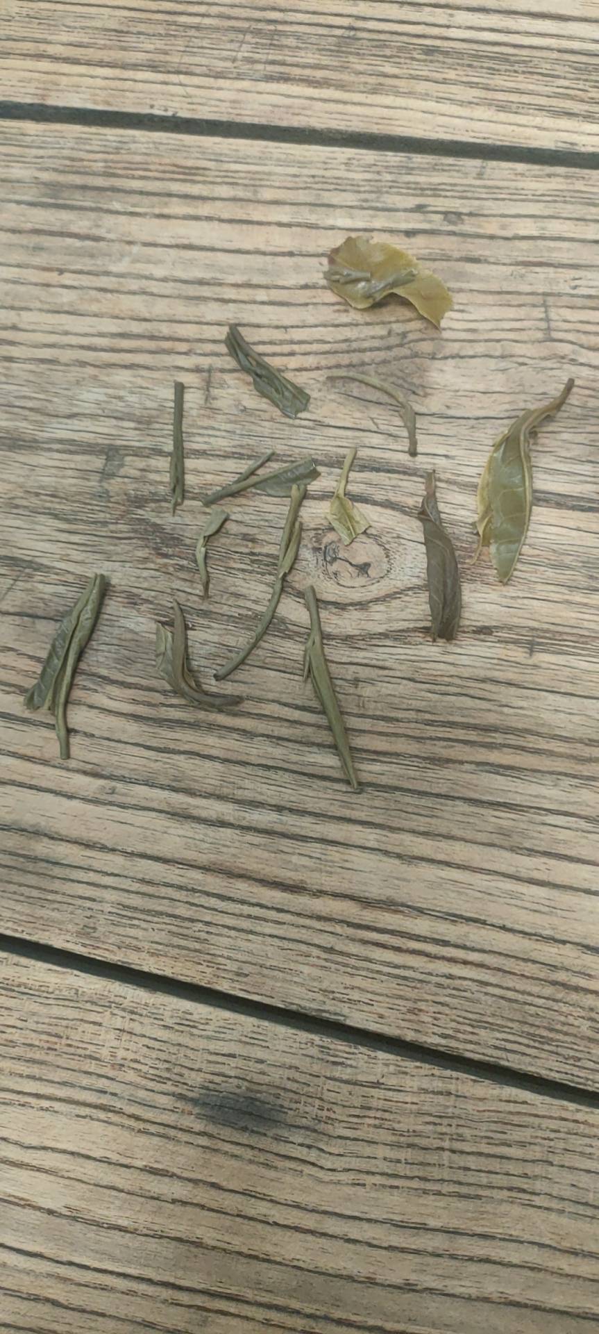茶底信息图片2
