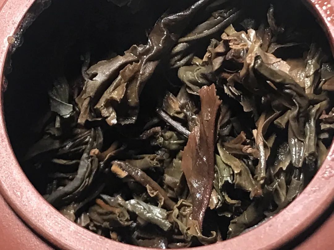 茶底信息图片1