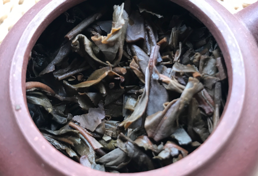 茶底信息图片1