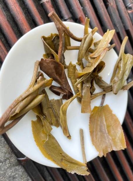 茶底信息图片1