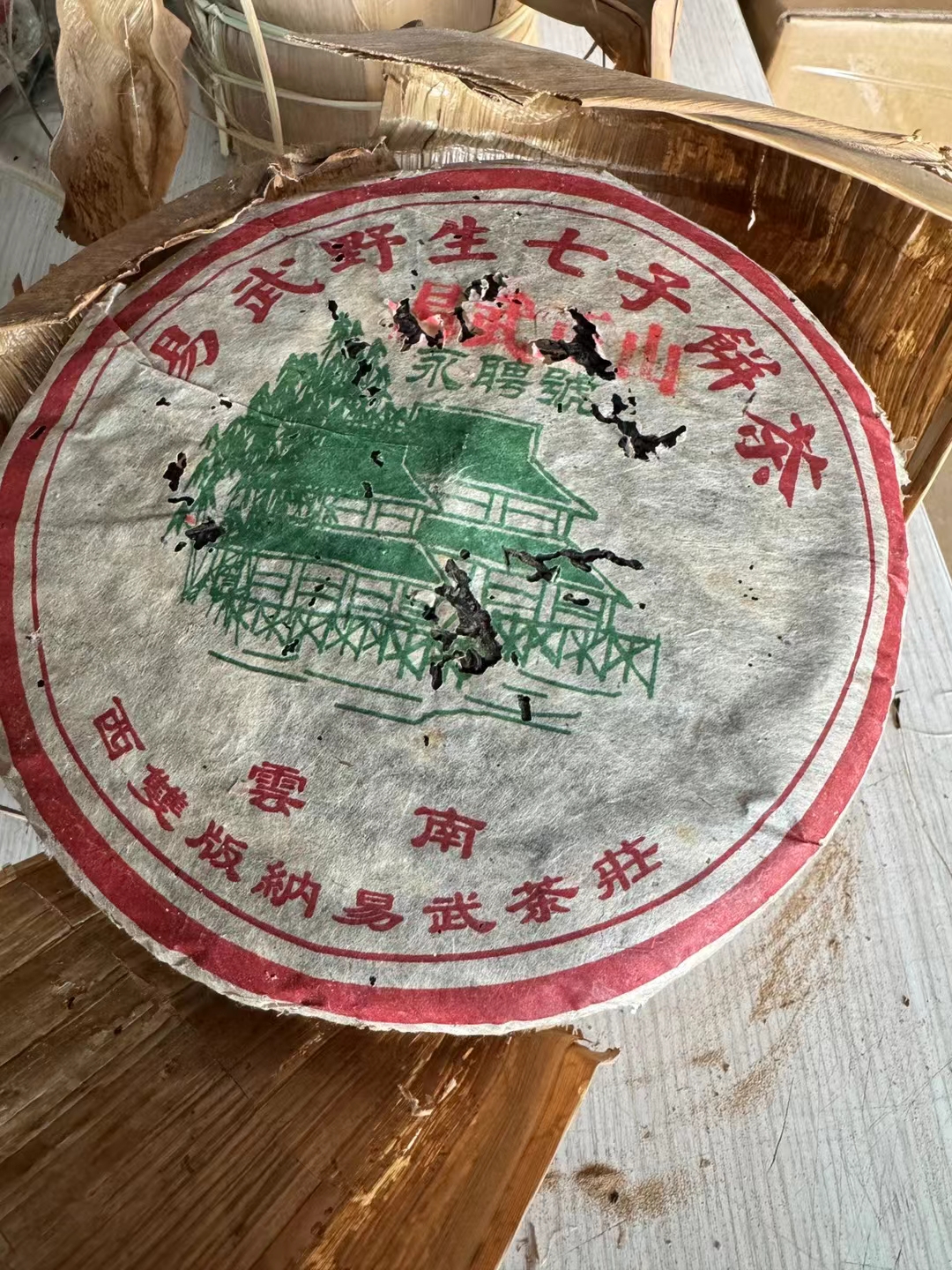 03永聘号易武正山大叶种古树乔木配图2