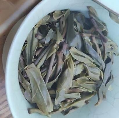 茶底信息图片1