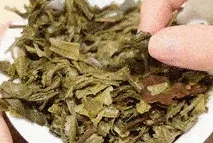 茶底信息图片1