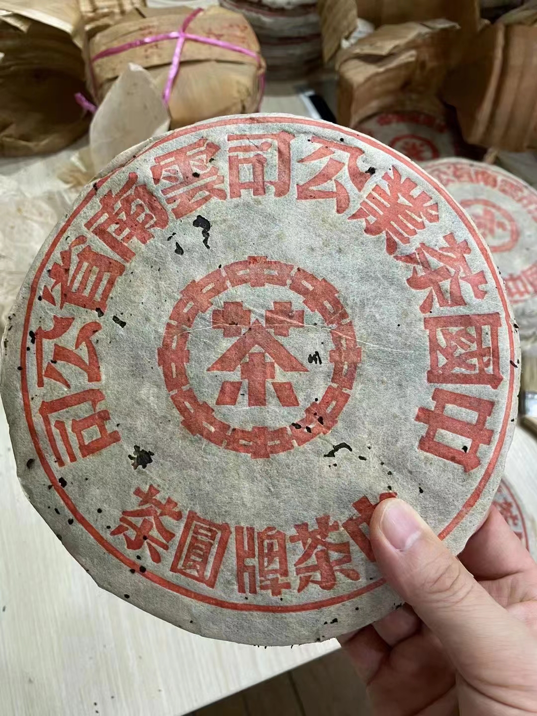 老茶系列配图7