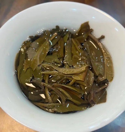 茶底信息图片1
