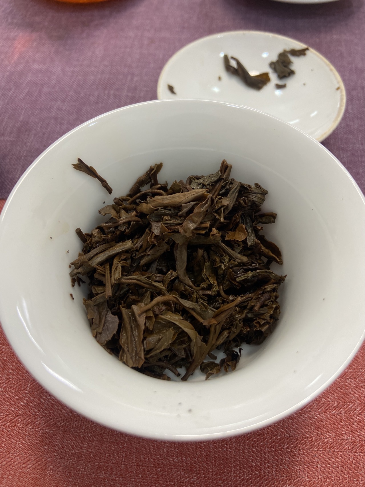 茶底信息图片1