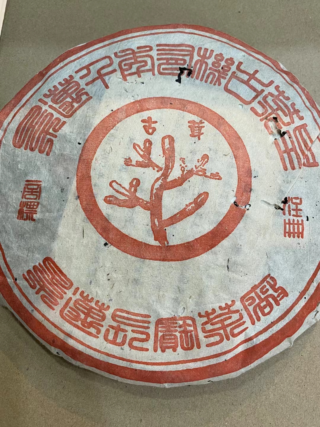 02年景迈千年老树古茶皇
《景迈老树茶-春茶》古茸配图1