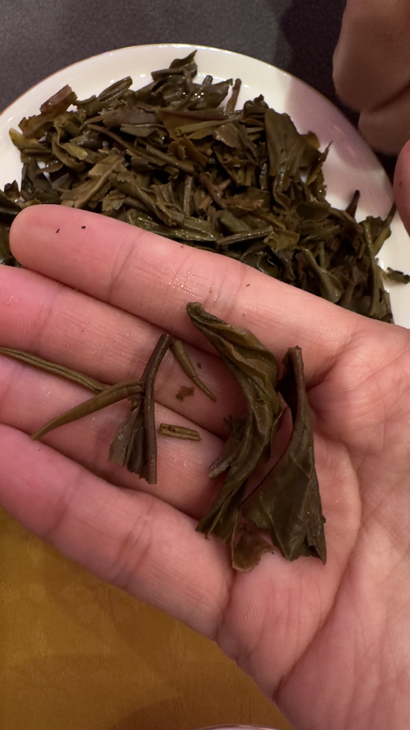 茶底信息图片1