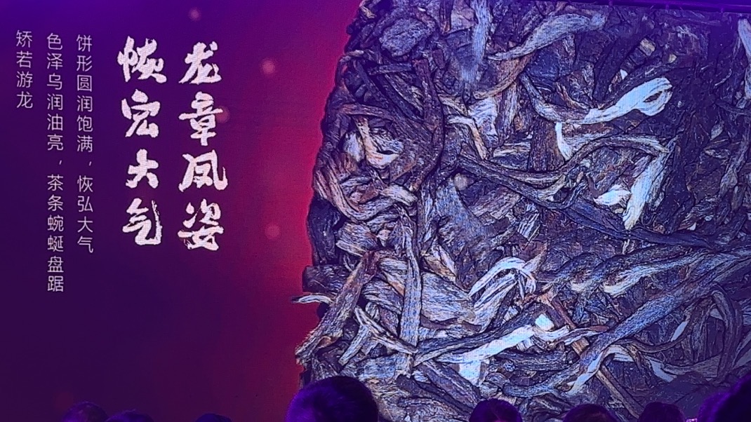 干茶信息图片1