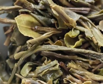茶底信息图片1
