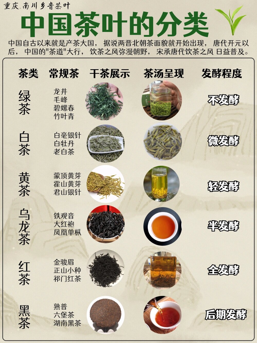 初入茶叶这一行,要如何才能达到专业水平?配图2