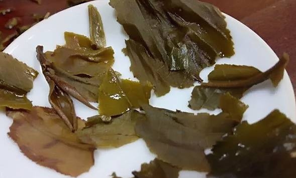 茶底信息图片1