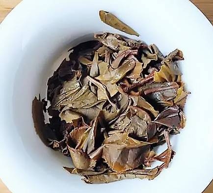 茶底信息图片1
