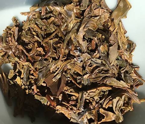 茶底信息图片1