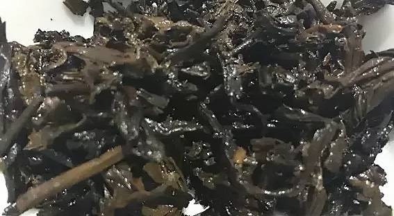 茶底信息图片1