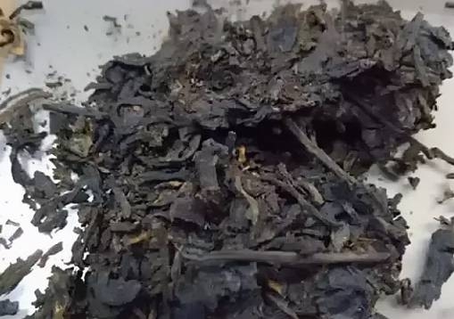 干茶信息图片1