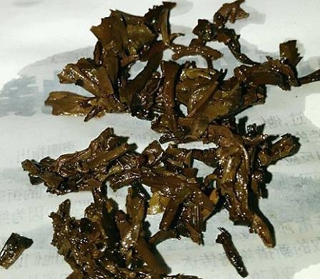 茶底信息图片1