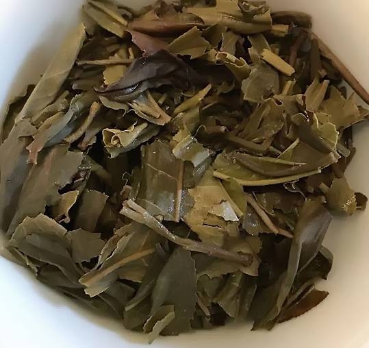 茶底信息图片1