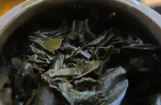 茶底信息图片1