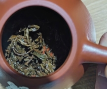 茶底信息图片1