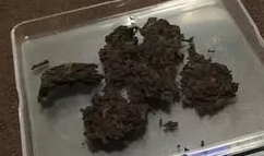 干茶信息图片1
