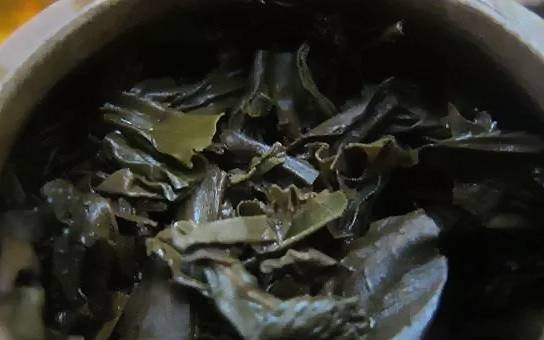 茶底信息图片1