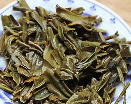 茶底信息图片1