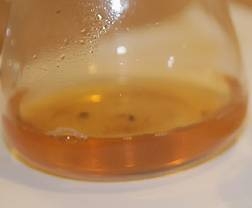 2008年 大益 7542 801批 普洱生茶茶品图