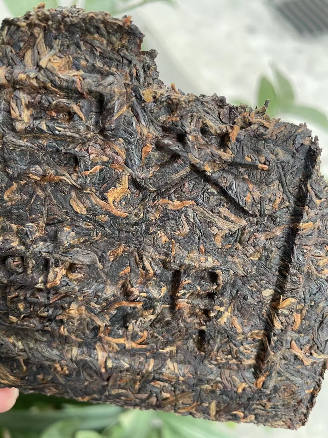 1999年昆明陈年普洱茶厂,宫廷普洱青砖配图3