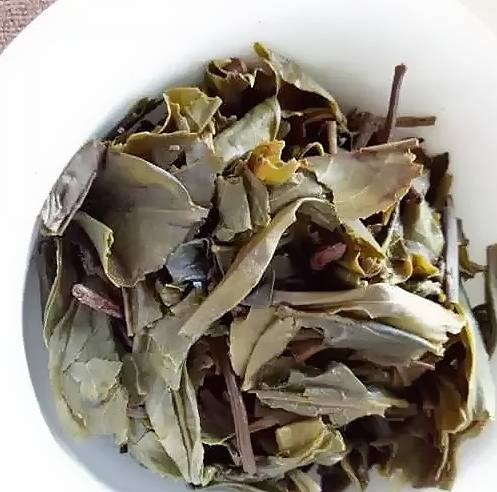 茶底信息图片1