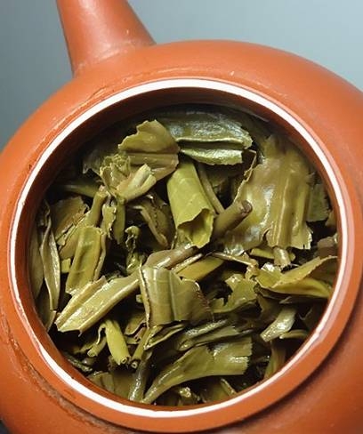茶底信息图片1