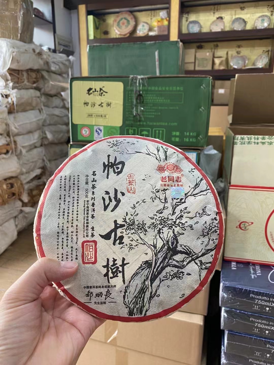 2010年老同志帕沙古树、名山茶【布朗山新东配图1