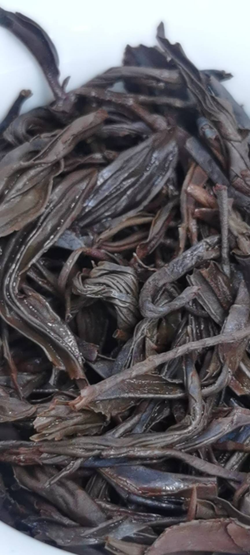 茶底信息图片1
