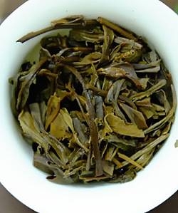 茶底信息图片1