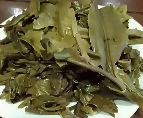茶底信息图片1