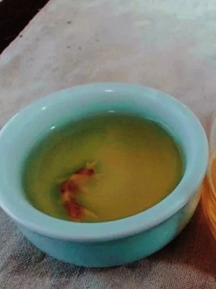 2008年 大益 7542 801批 普洱生茶茶品图