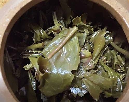 茶底信息图片1