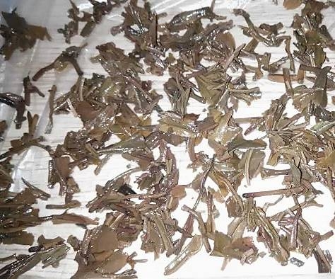 茶底信息图片1