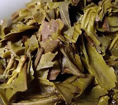 茶底信息图片1