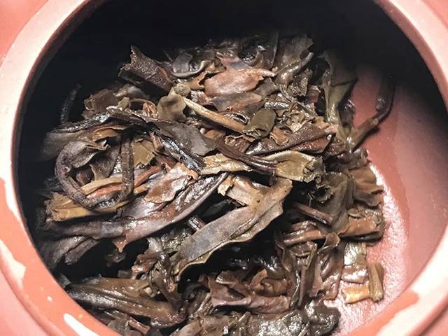 茶底信息图片1