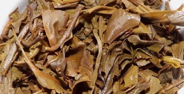 茶底信息图片1