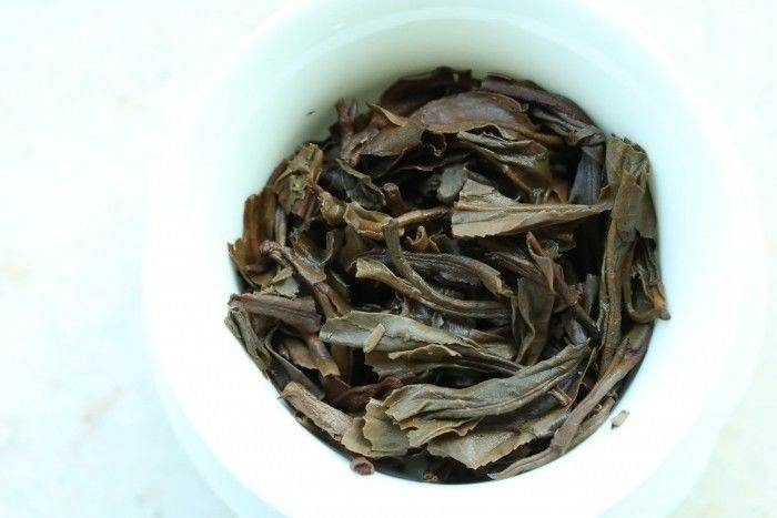 茶底信息图片1