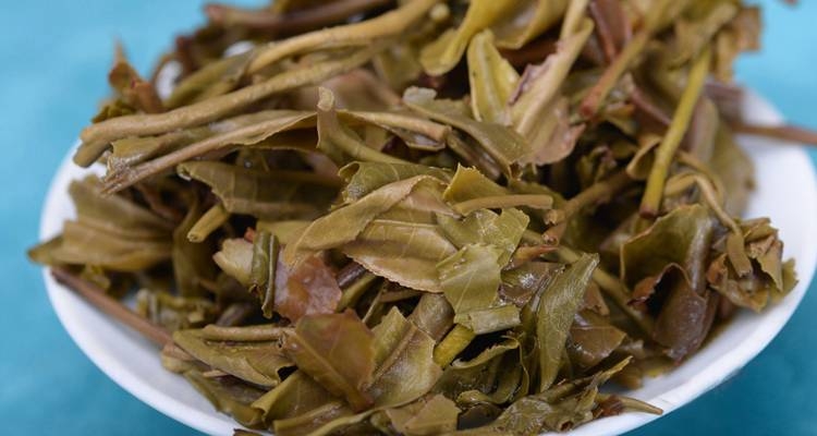茶底信息图片1
