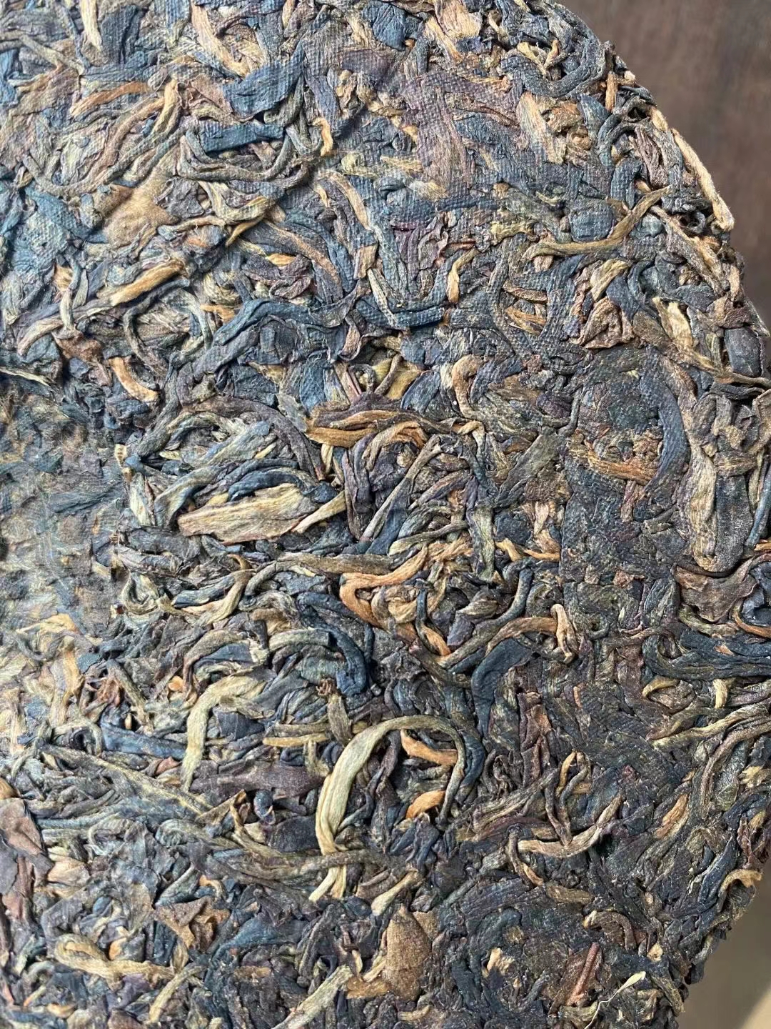 05年古佛海绿太阳,乔木古茶配图4