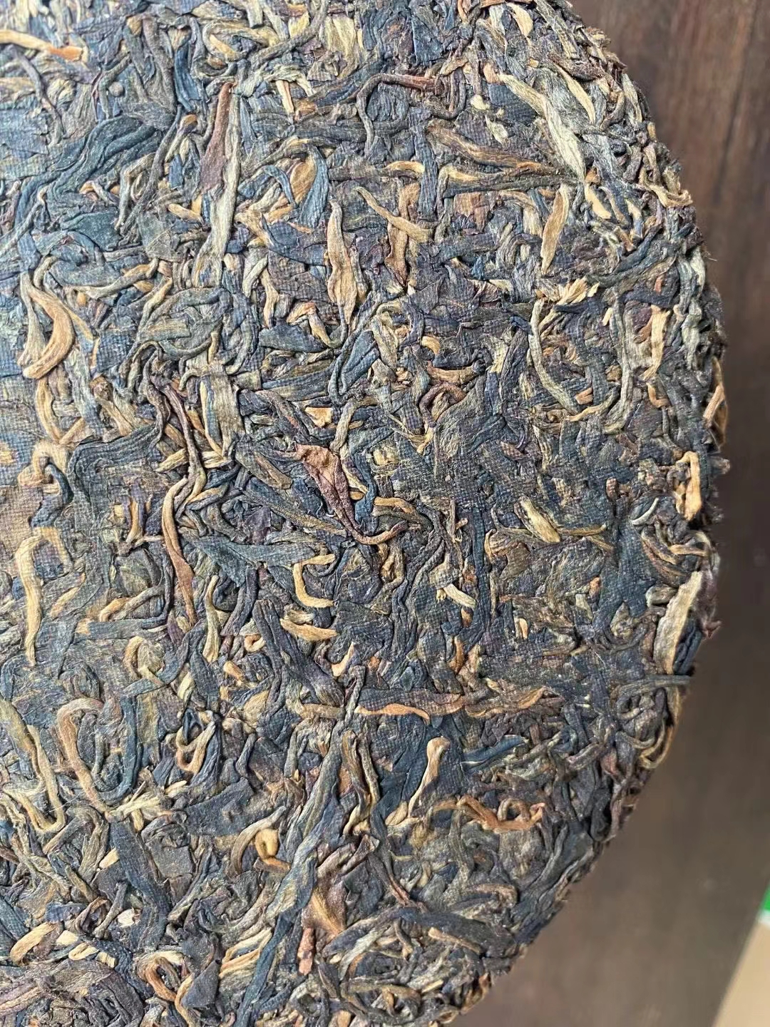 05年古佛海绿太阳,乔木古茶配图5