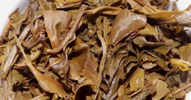 茶底信息图片1