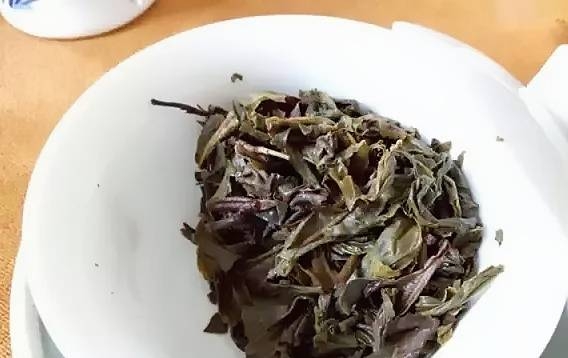茶底信息图片1