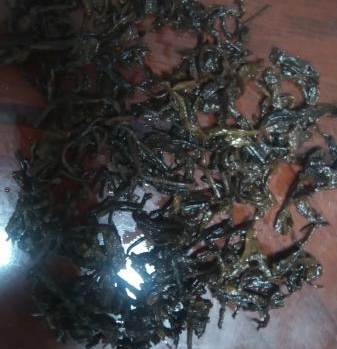 茶底信息图片1