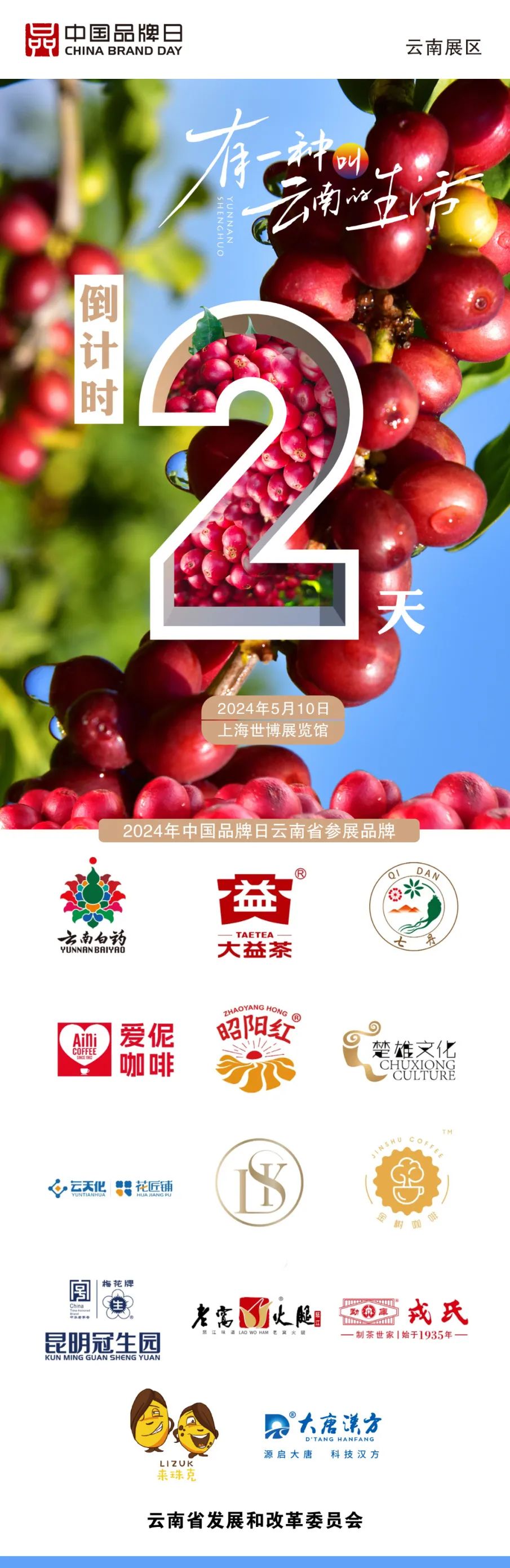 第八届中国品牌日开启,大益作为云南品牌代表参展。配图1